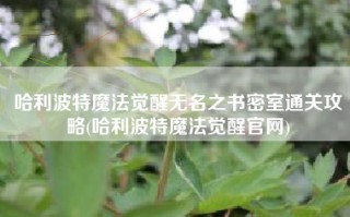 哈利波特魔法觉醒无名之书密室通关攻略(哈利波特魔法觉醒官网)