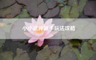 小小武神新手玩法攻略