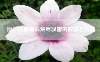 原神残像暗战烧尽驭雷的敌阵怎么过