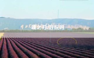 魂之刃2好玩吗