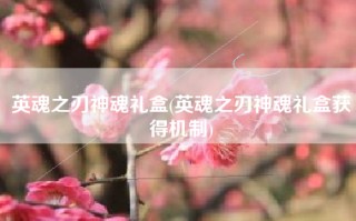 英魂之刃神魂礼盒(英魂之刃神魂礼盒获得机制)