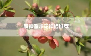 解神者木花神格推荐