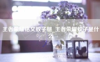 王者荣耀铭文蚊子腿_王者荣耀蚊子是什么