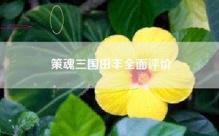 策魂三国田丰全面评价