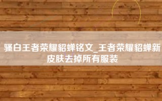 骚白王者荣耀貂蝉铭文_王者荣耀貂蝉新皮肤去掉所有服装