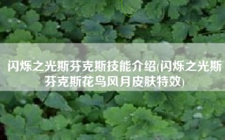 闪烁之光斯芬克斯技能介绍(闪烁之光斯芬克斯花鸟风月皮肤特效)
