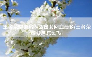 王者荣耀桑启怎么出装回血最多(王者荣耀桑启怎么飞)