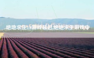 绝地求生1.0游戏延迟,绝地求生游戏中