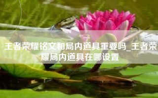 王者荣耀铭文和局内道具重要吗_王者荣耀局内道具在哪设置
