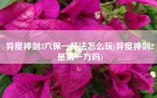 异度神剑3六保一打法怎么玩(异度神剑2是第一方吗)