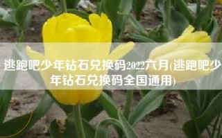 逃跑吧少年钻石兑换码2022六月(逃跑吧少年钻石兑换码全国通用)