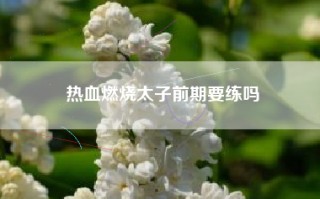 热血燃烧太子前期要练吗