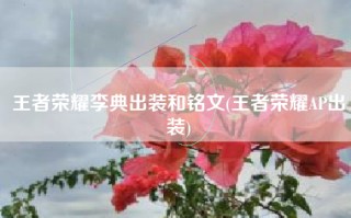 王者荣耀李典出装和铭文(王者荣耀AP出装)