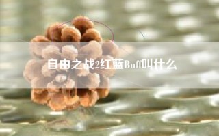 自由之战2红蓝Buff叫什么