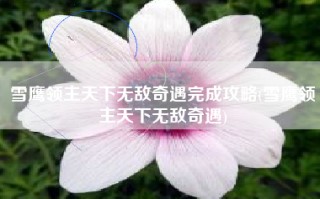 雪鹰领主天下无敌奇遇完成攻略(雪鹰领主天下无敌奇遇)