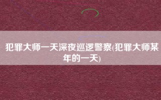 犯罪大师一天深夜巡逻警察(犯罪大师某年的一天)
