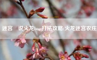 迷宫伝说火龙boss打法攻略(火龙迷宫农庄)