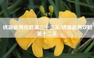 锈湖追溯攻略第三十三关(锈湖追溯攻略第十二关)