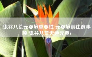 鬼谷八荒元婴境重要性 元婴境前注意事项(鬼谷八荒天道元婴)