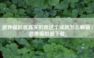 退休模拟器真实的我这个成就怎么解锁 (退休模拟器下载)