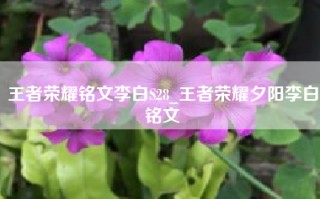 王者荣耀铭文李白S28_王者荣耀夕阳李白铭文