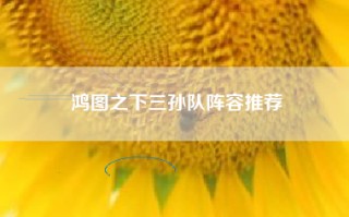 鸿图之下三孙队阵容推荐
