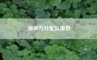 原神万叶配队推荐