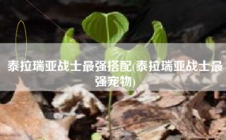 泰拉瑞亚战士最强搭配(泰拉瑞亚战士最强宠物)