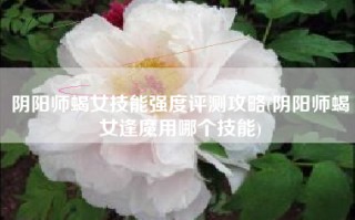 阴阳师蝎女技能强度评测攻略(阴阳师蝎女逢魔用哪个技能)