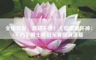 全程炸裂，激战不休！《暗黑破坏神：不朽》勇士杯冠军赛圆满落幕