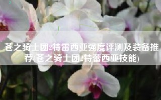 苍之骑士团2特雷西亚强度评测及装备推荐(苍之骑士团2特蕾西亚技能)