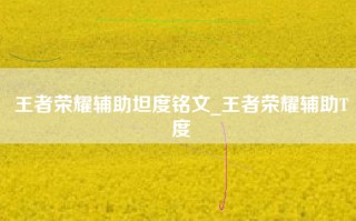 王者荣耀辅助坦度铭文_王者荣耀辅助T度