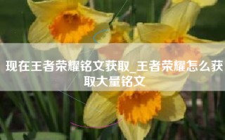 现在王者荣耀铭文获取_王者荣耀怎么获取大量铭文