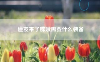 道友来了嫦娥需要什么装备