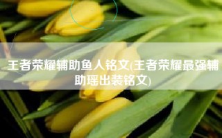 王者荣耀辅助鱼人铭文(王者荣耀最强辅助瑶出装铭文)