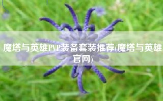 魔塔与英雄PVP装备套装推荐(魔塔与英雄官网)
