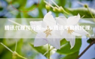 腾讯代理国行版switch(腾讯考勤机代理)