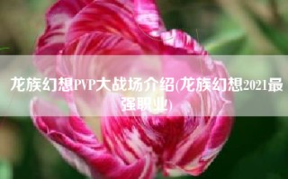 龙族幻想PVP大战场介绍(龙族幻想2021最强职业)