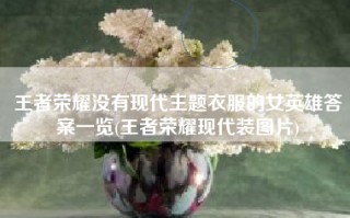 王者荣耀没有现代主题衣服的女英雄答案一览(王者荣耀现代装图片)