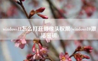 windows11怎么打开摄像头权限(windows10激活密钥)