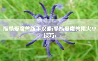 酷酷爱魔兽新手攻略(酷酷爱魔兽集火小技巧)