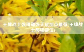 王牌战士强哥郝强天赋加点推荐(王牌战士郝强键位)