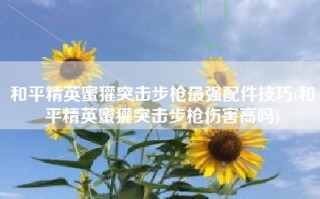 和平精英蜜獾突击步枪最强配件技巧(和平精英蜜獾突击步枪伤害高吗)