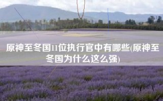 原神至冬国11位执行官中有哪些(原神至冬国为什么这么强)