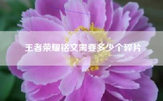 王者荣耀铭文需要多少个碎片