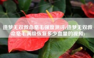 造梦无双救命毫毛强度测评(造梦无双救命毫毛满级恢复多少血量的视频)