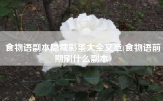 食物语副本隐藏彩蛋大全文章(食物语前期刷什么副本)