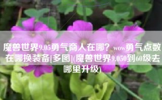 魔兽世界9.05勇气商人在哪？wow勇气点数在哪换装备[多图](魔兽世界9.050到60级去哪里升级)