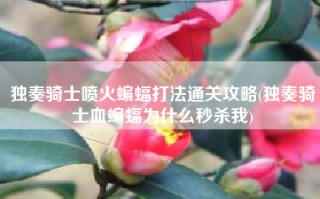 独奏骑士喷火蝙蝠打法通关攻略(独奏骑士血蝙蝠为什么秒杀我)