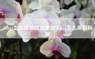 lofter怎么添加收货地址(lofter怎么屏蔽标签)